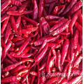 Peperoncino essiccato